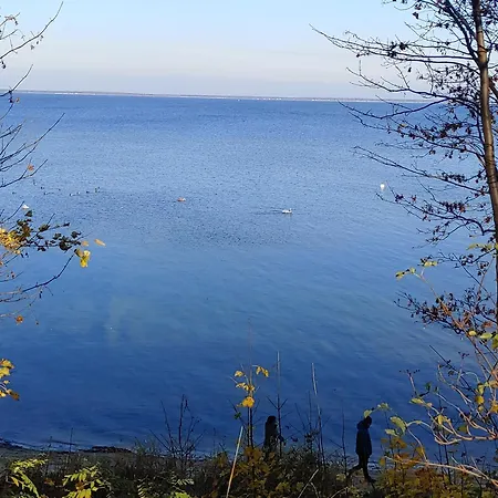 Delfin 아파트 푸크