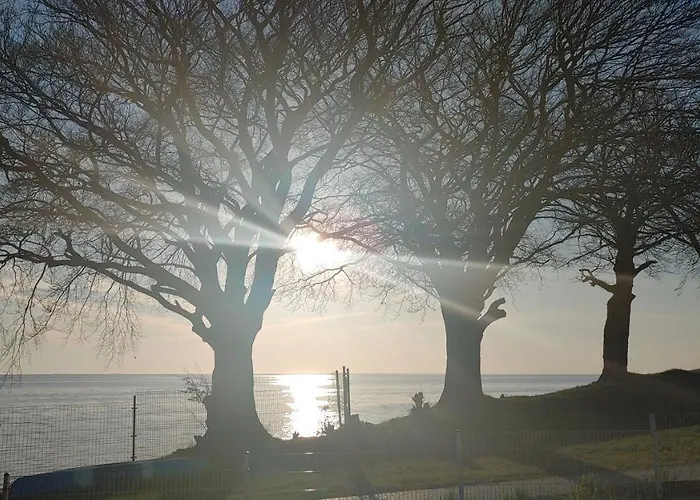 Апартаменты Delfin