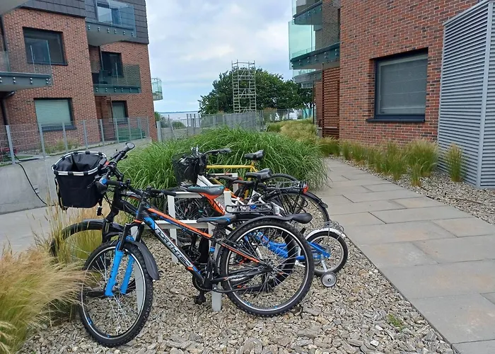 Delfin Апартаменты *