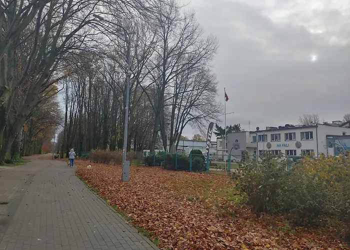 Delfin Апартаменты