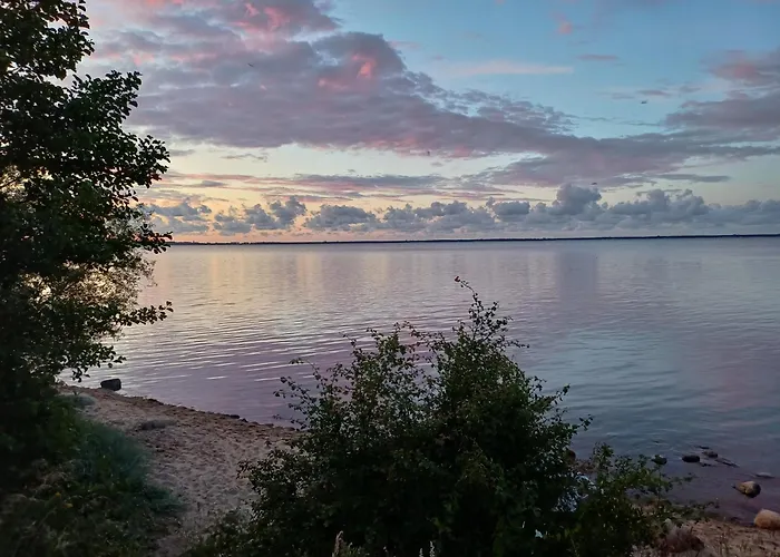 Апартаменты Delfin *