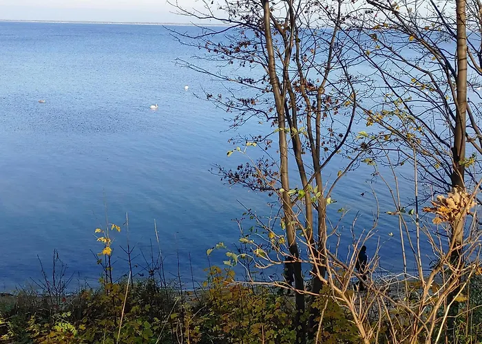 Апартаменты Delfin *